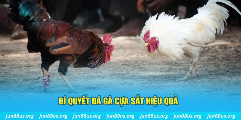 hitclup xổ số miền bắc thứ ba hàng tuần