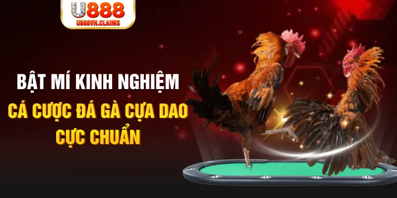 hitclup casino hồ tràm có cho người việt vào không