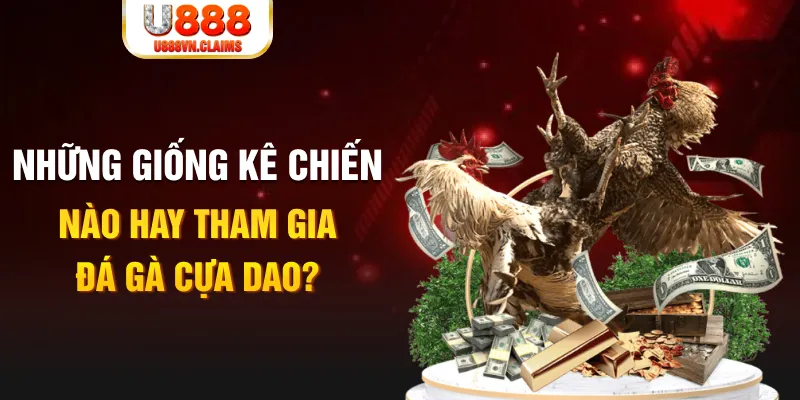 hitclup BG Trực Tuyến
