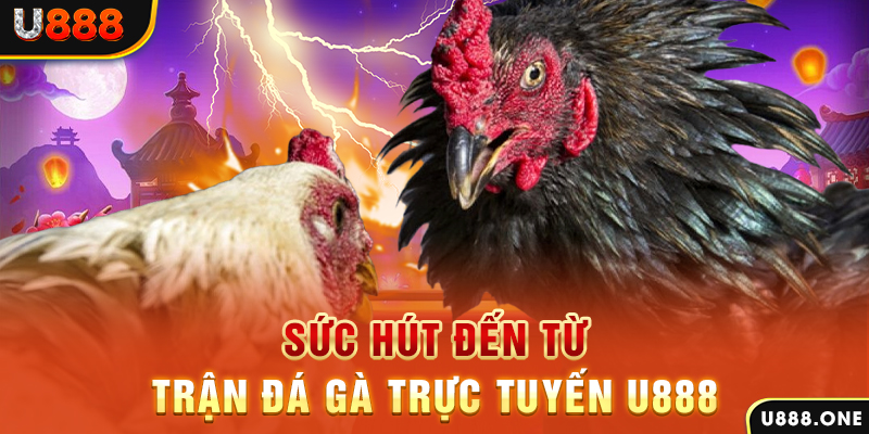 hitclup đăng nhập poker 2024