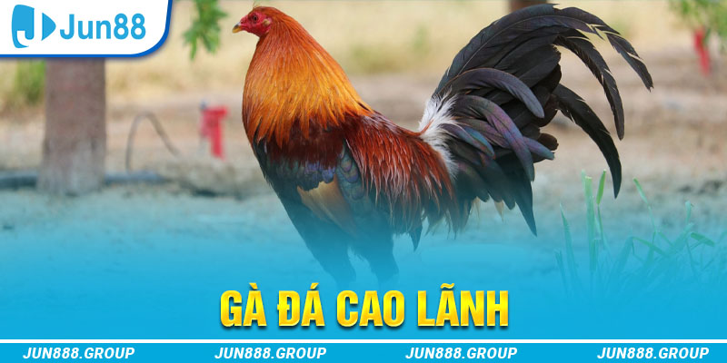 hitclup tai game vua bai ve may tinh