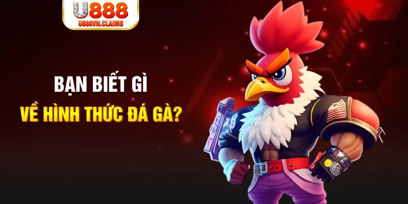 hitclup đăng nhập liêng tặng tiền