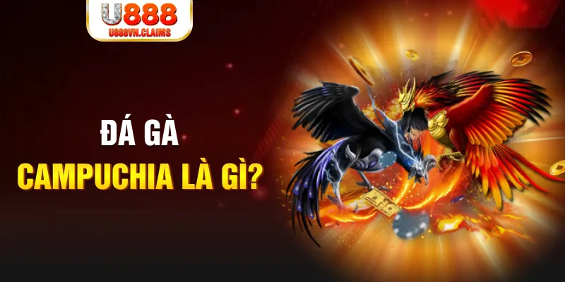 hitclup what is the best online casino for real money