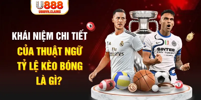 hitclup Long Hổ 2