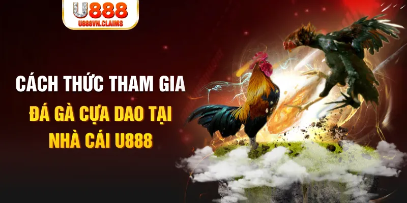 hitclup đá gà 88.com