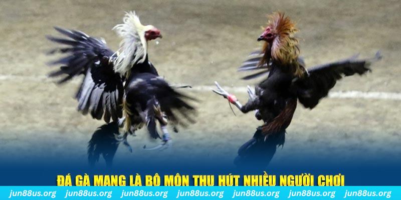 hitclup đăng nhập sòng bạc số 1