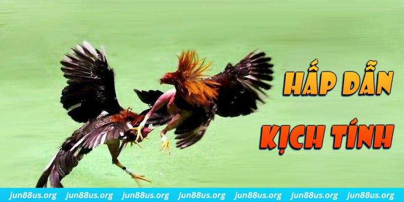 hitclup xổ số miền nam thứ sáu