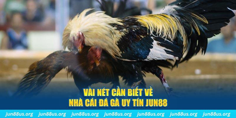 hitclup Jones Chuối