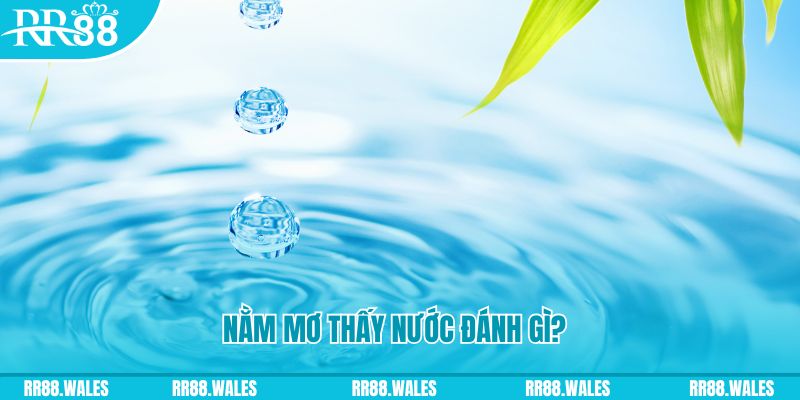 hitclup xổ số trực tiếp miền bắc