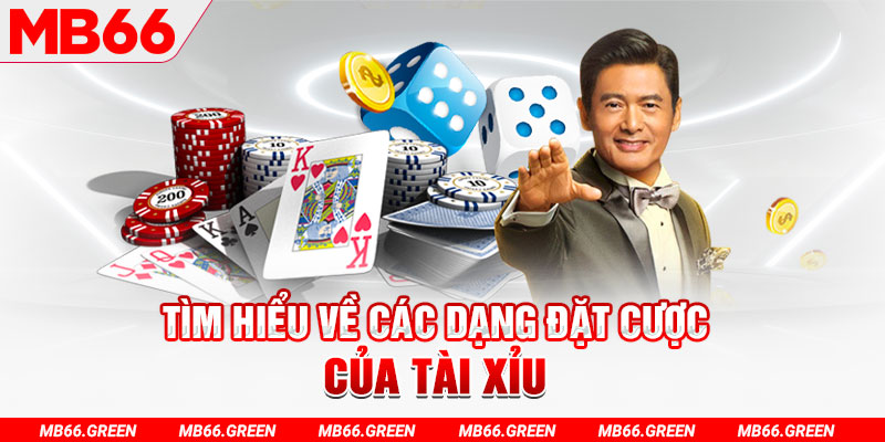 hitclup what is a casino loyalty program