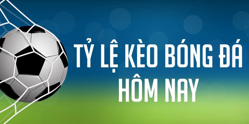hitclup đăng nhập phỏm