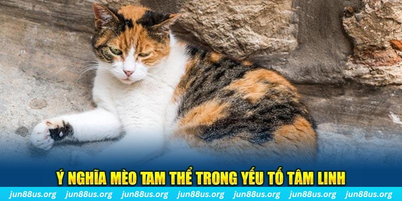 hitclup máy slot game là loại trò chơi gì？