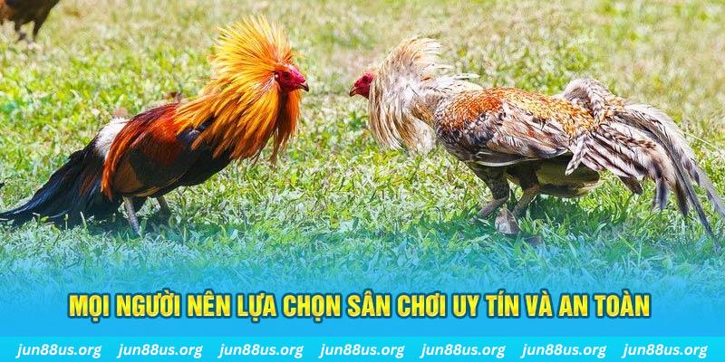 hitclup đăng nhập poker 2025