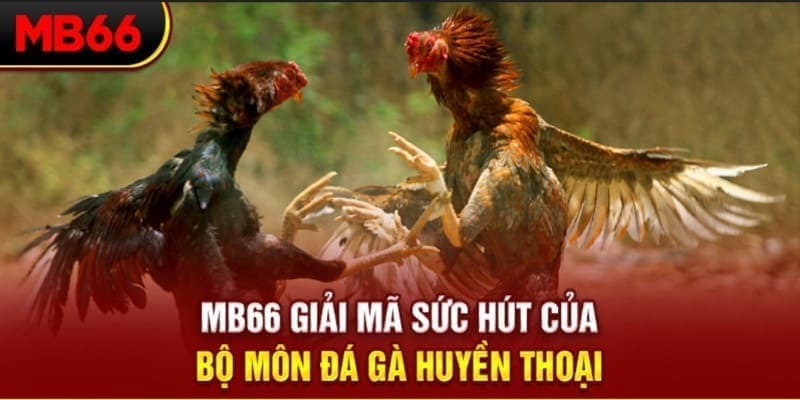 hitclup xổ số đài bắc