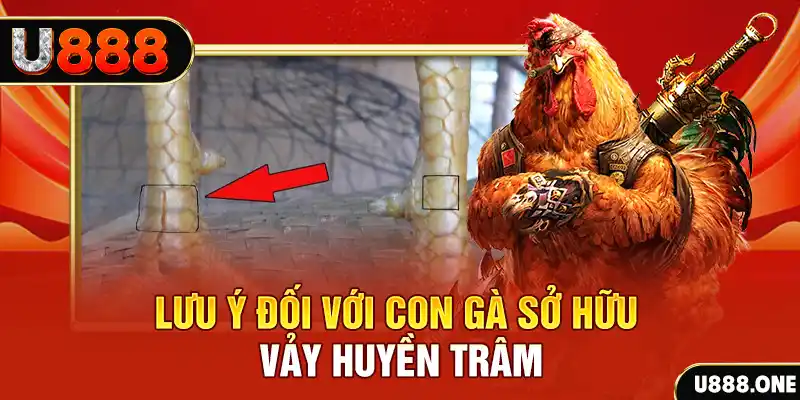 hitclup tải game đánh bài tiến lên miền nam về máy tính
