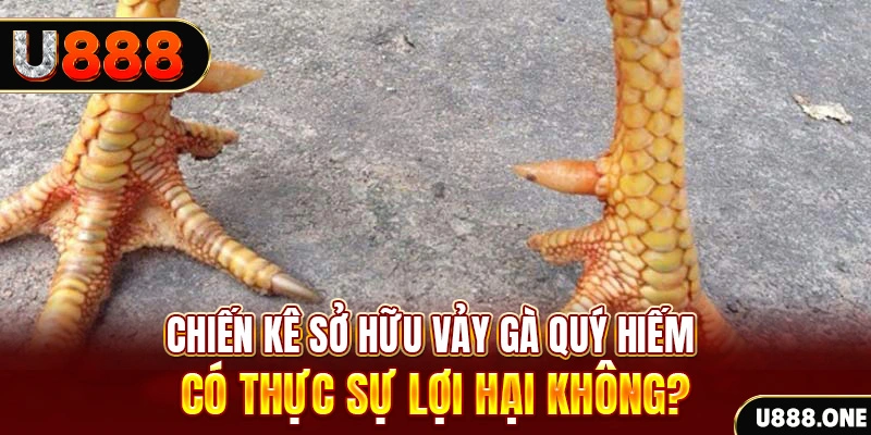 hitclup xổ số miền trung