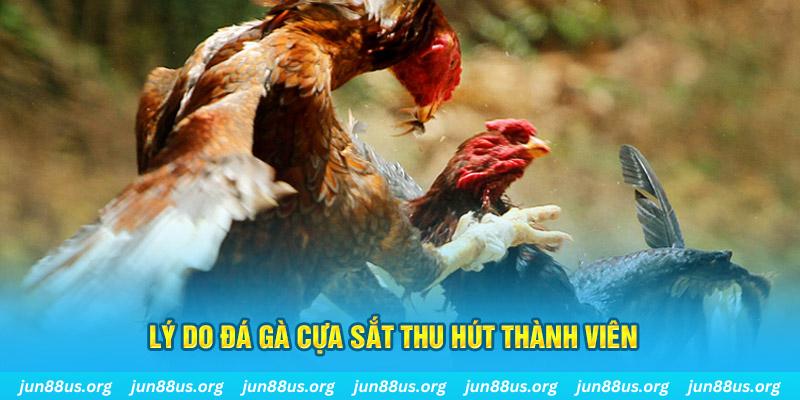 hitclup nổ hũ ăn bao nhiêu