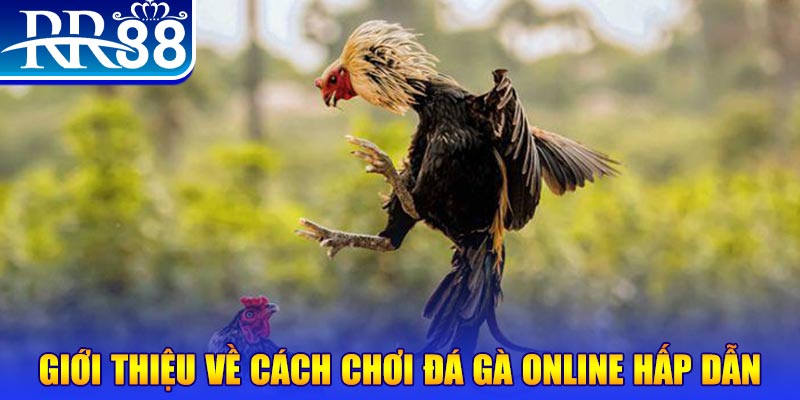 hitclup bắn cá h5 là gì