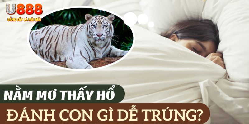 hitclup nohu .mx nổ hủ là gì