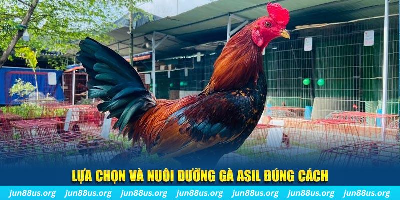 hitclup nổ hũ thần tài là gì