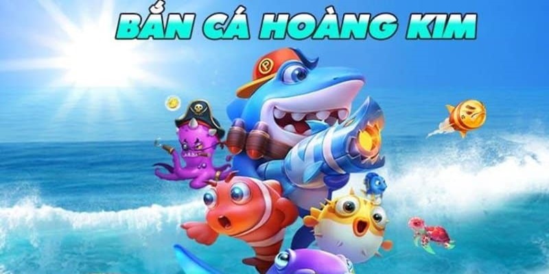 hitclup IM Thể Th