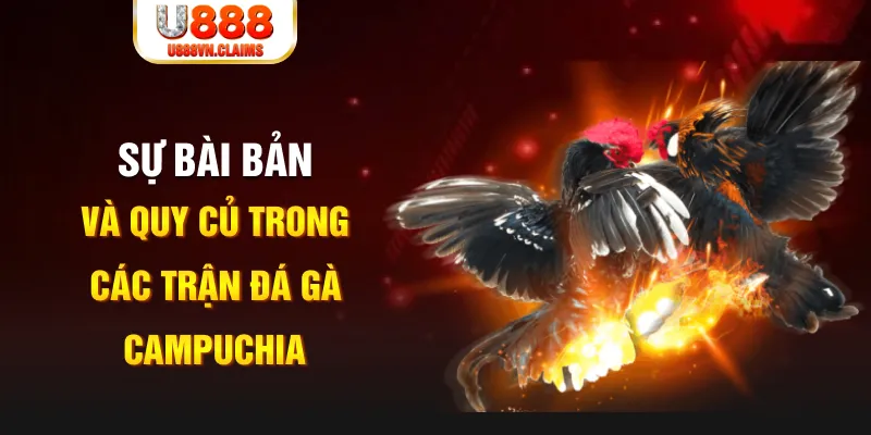hitclup game xếp bài trên máy tính