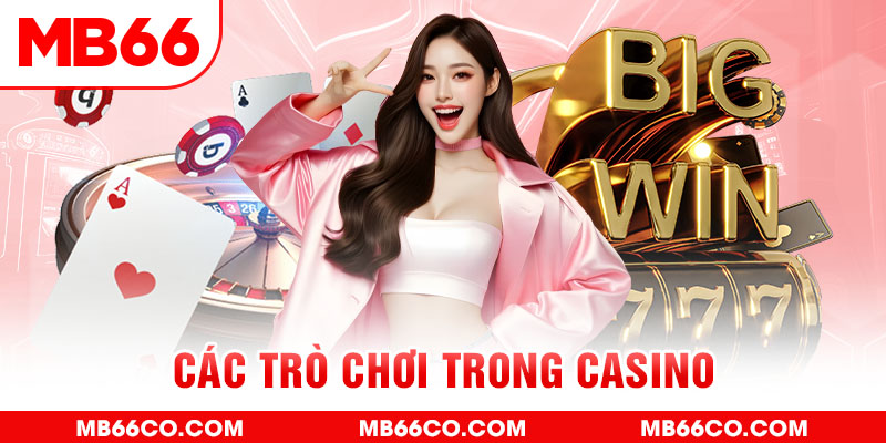 hitclup chổi lông gà