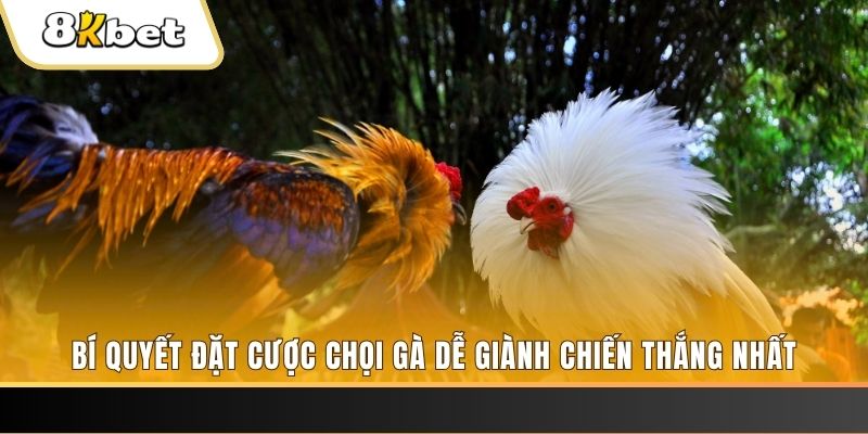 hitclup nổ hũ chơi như thế nào