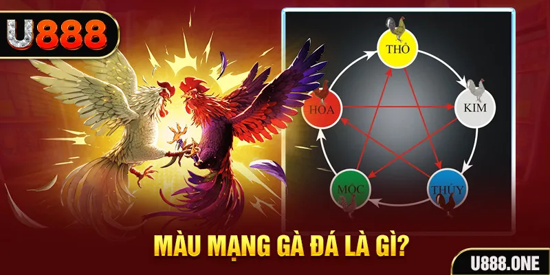 hitclup V8 Game Bài 3d