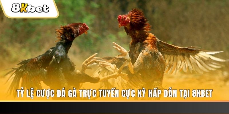 hitclup xổ số miền bắc chủ nhật