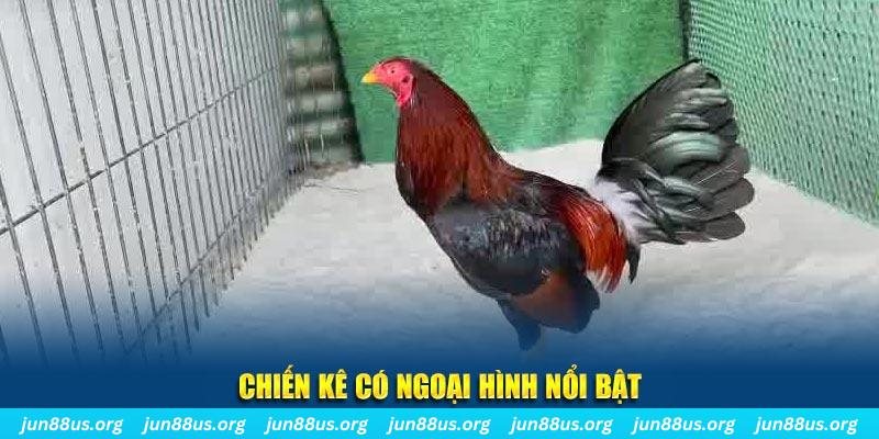 hitclup qq88 bắn cá
