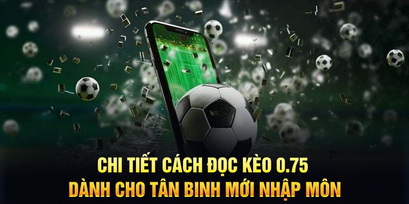 hitclup Xì tố