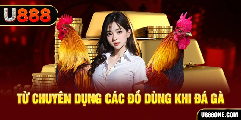 hitclup đăng nhập poker trực tiếp