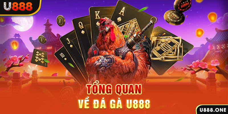 hitclup xổ số vietlott