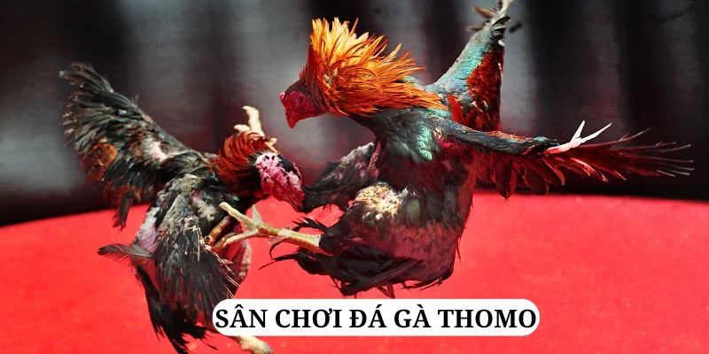 hitclup quay nổ hũ là gì