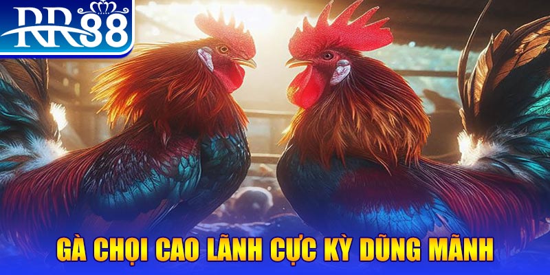 hitclup đăng nhập poker live